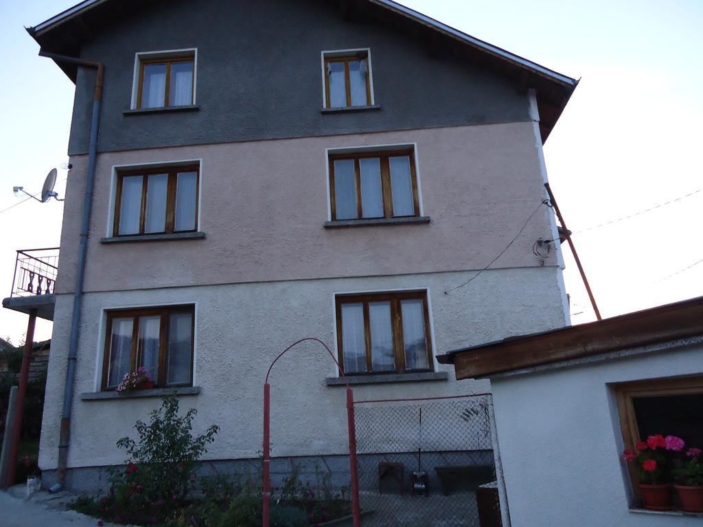 Guest House Ahp Mala Ţurkva Cameră foto