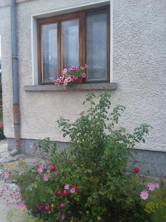 Guest House Ahp Mala Ţurkva Cameră foto
